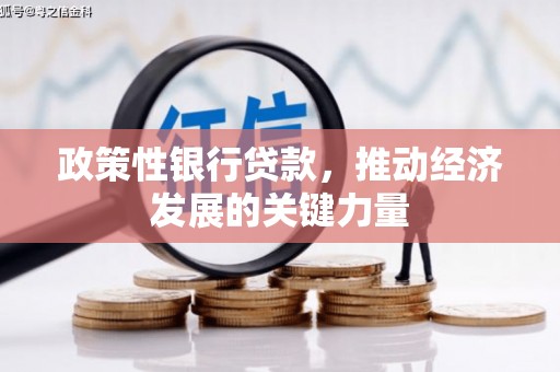 湖滨政策性银行贷款，推动经济发展的关键力量
