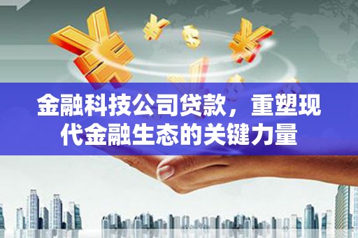 湖滨金融科技公司贷款，重塑现代金融生态的关键力量