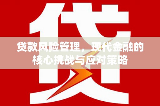 湖滨贷款风险管理，现代金融的核心挑战与应对策略