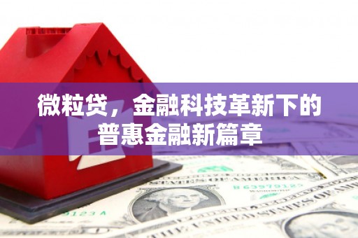 湖滨微粒贷，金融科技革新下的普惠金融新篇章