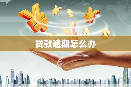 湖滨贷款逾期怎么办