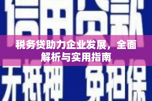 湖滨税务贷助力企业发展，全面解析与实用指南