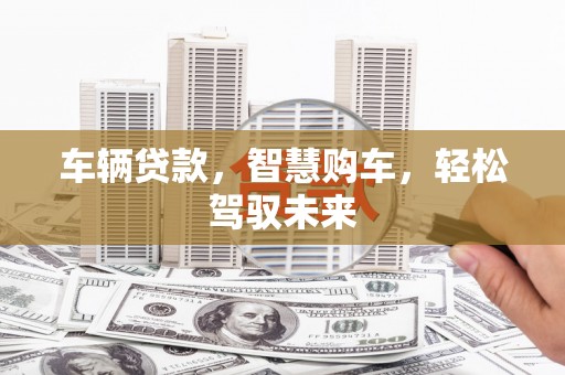 湖滨车辆贷款，智慧购车，轻松驾驭未来
