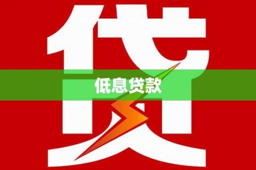 湖滨低息贷款