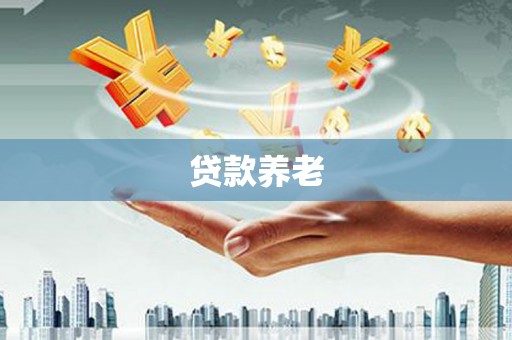 湖滨贷款养老