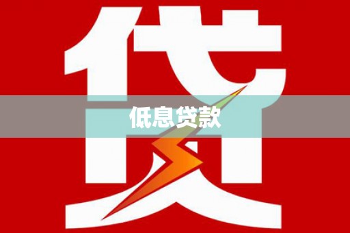 湖滨低息贷款