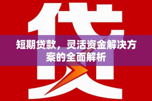 湖滨短期贷款，灵活资金解决方案的全面解析