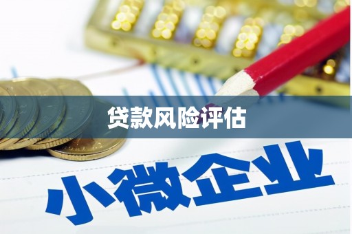 湖滨贷款风险评估