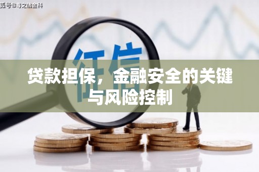 湖滨贷款担保，金融安全的关键与风险控制