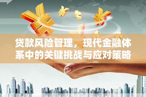 湖滨贷款风险管理，现代金融体系中的关键挑战与应对策略