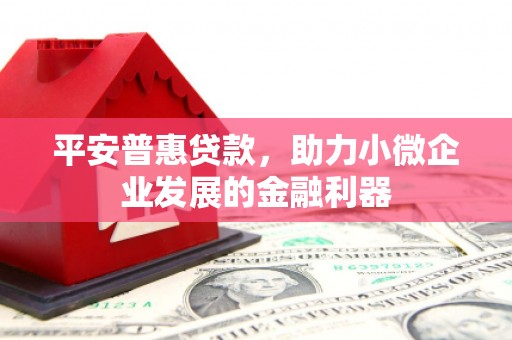 湖滨平安普惠贷款，助力小微企业发展的金融利器