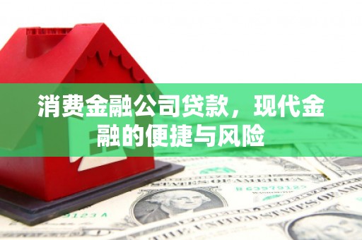 湖滨消费金融公司贷款，现代金融的便捷与风险