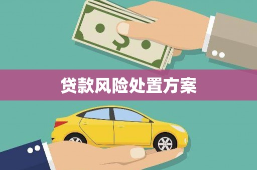 湖滨贷款风险处置方案