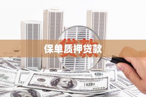 湖滨保单质押贷款