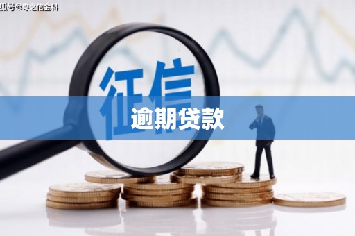 湖滨逾期贷款