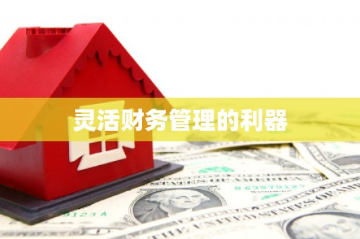 湖滨灵活财务管理的利器