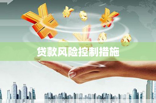 湖滨贷款风险控制措施