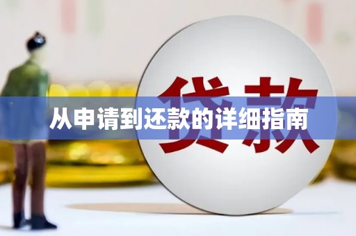 湖滨从申请到还款的详细指南