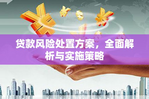 湖滨贷款风险处置方案，全面解析与实施策略