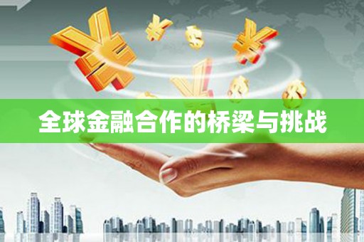 湖滨全球金融合作的桥梁与挑战