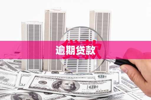 湖滨逾期贷款