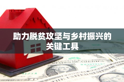 湖滨助力脱贫攻坚与乡村振兴的关键工具