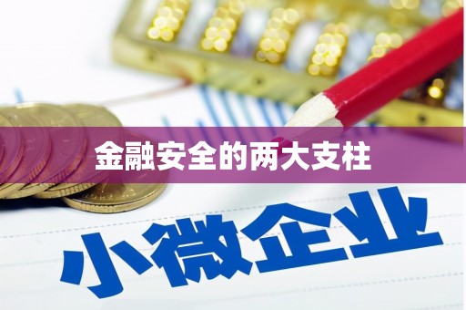 湖滨金融安全的两大支柱