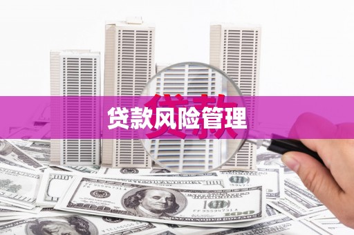 湖滨贷款风险管理