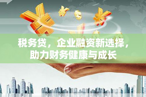 湖滨税务贷，企业融资新选择，助力财务健康与成长